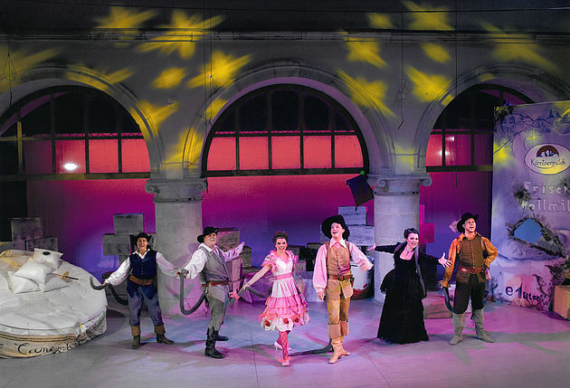 DIE 3 MAUSKETIERE - Ensemble 